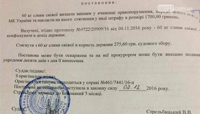 Во Львове судья оштрафовал 60 кг слив, фото-1