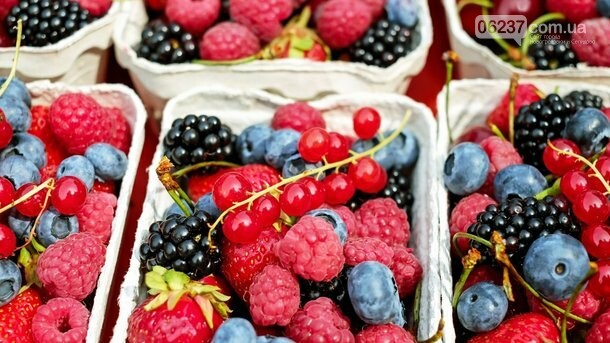 Украина все активнее кормит ЕС ягодами, фото-1