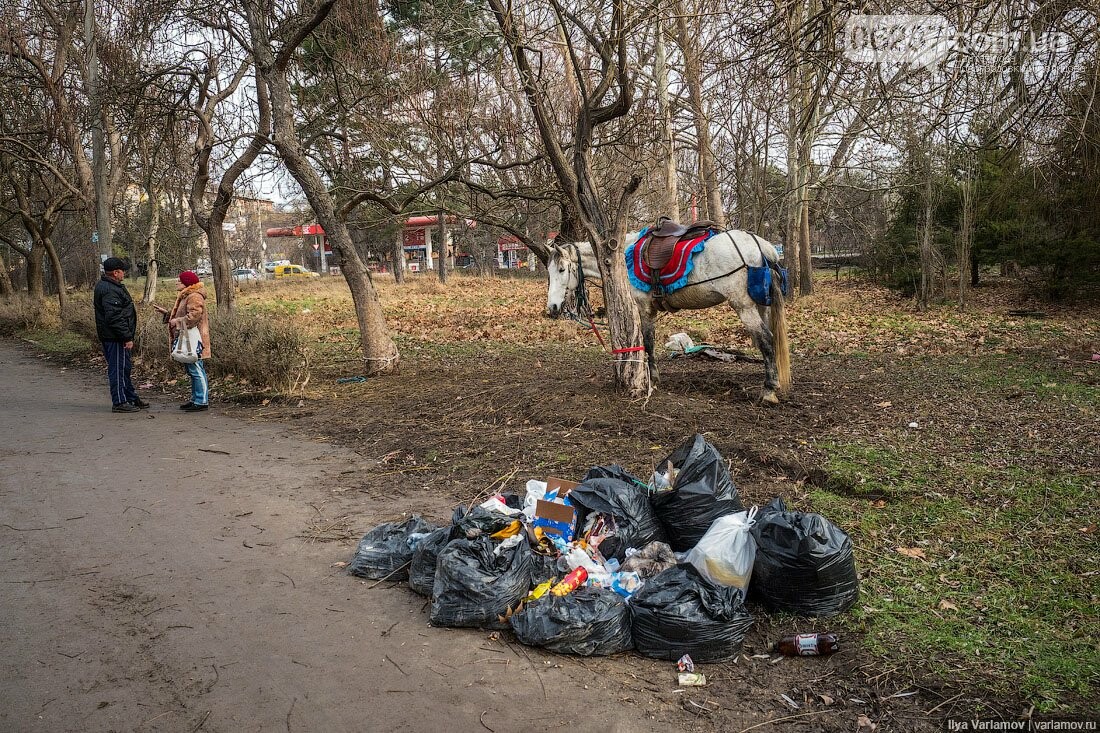 Варламов показал, во что превратили парк Гагарина в оккупированном Симферополе, фото-11