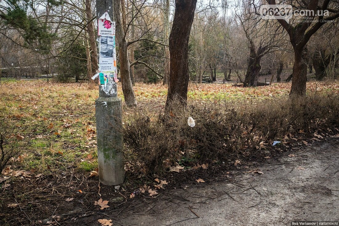 Варламов показал, во что превратили парк Гагарина в оккупированном Симферополе, фото-14