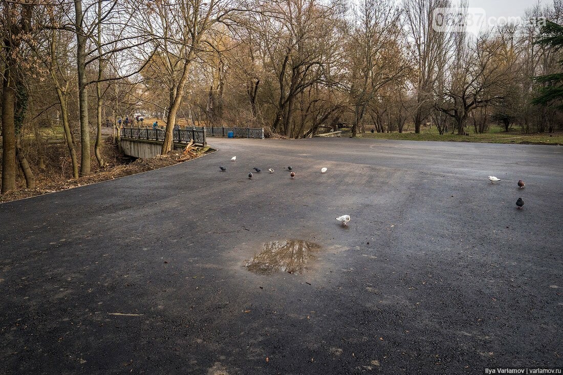 Варламов показал, во что превратили парк Гагарина в оккупированном Симферополе, фото-3