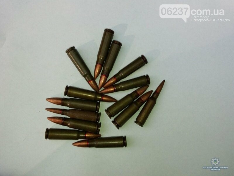 Житель Горняка наткнулся на боеприпасы и сразу сообщил об этом в полицию, фото-1