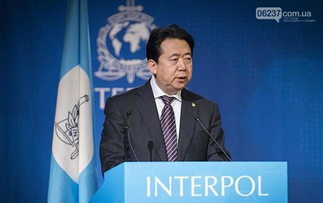 Китай официально объявил о подозрении экс-главы Интерпола в коррупции, фото-1