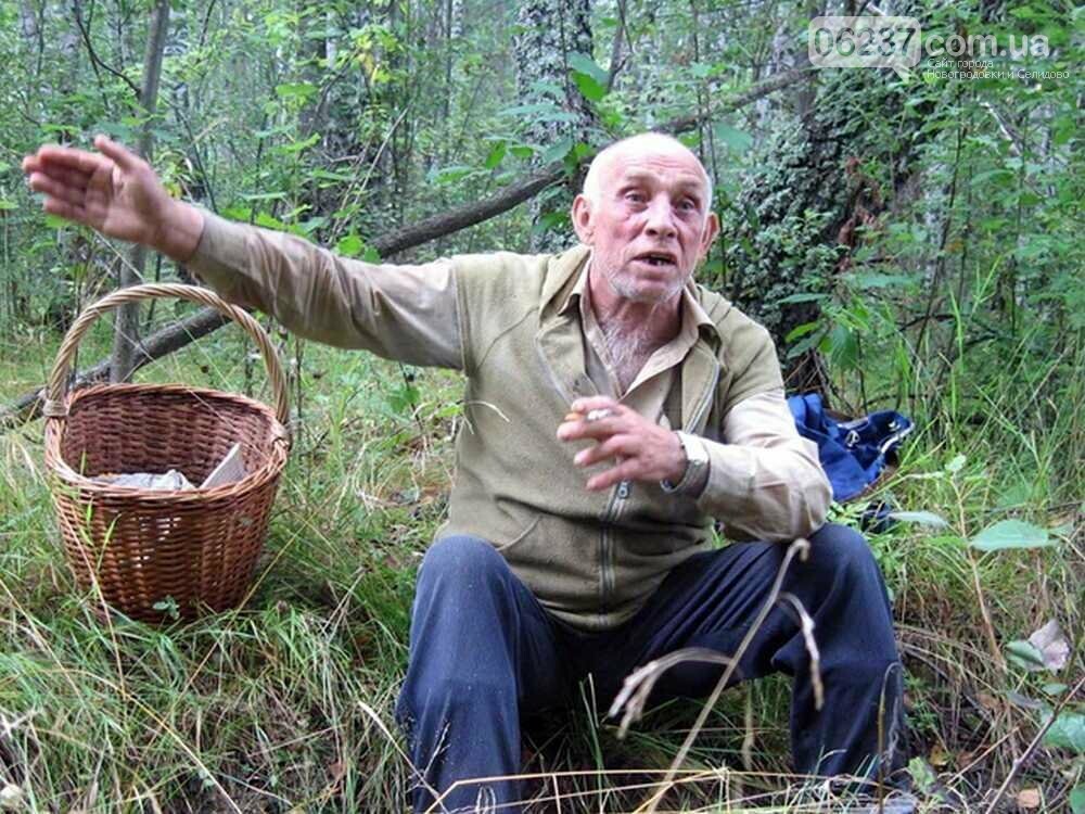 На Харьковщине дерево убило грибника, фото-1