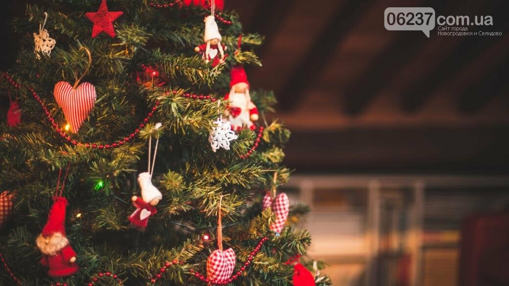Эксперты назвали предварительную цену на новогоднюю елку в Украине, фото-1