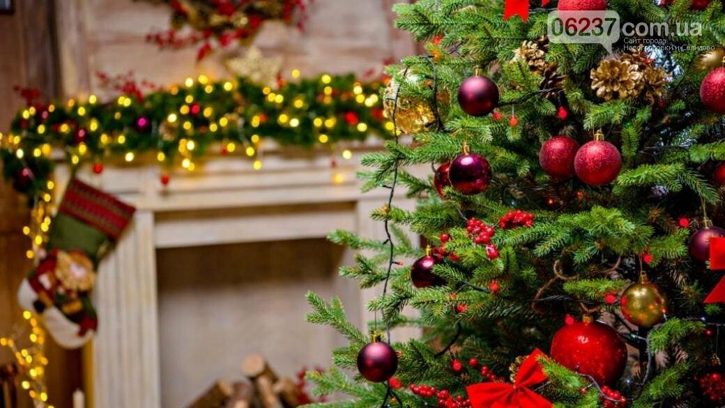Новогодняя суета: В Украине начали продавать елки, фото-1
