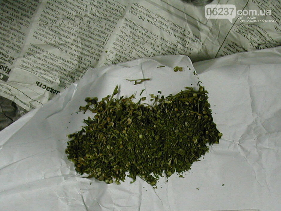 В Селидовскую исправительную колонию пытались доставить наркотики под подкладкой куртки, фото-1