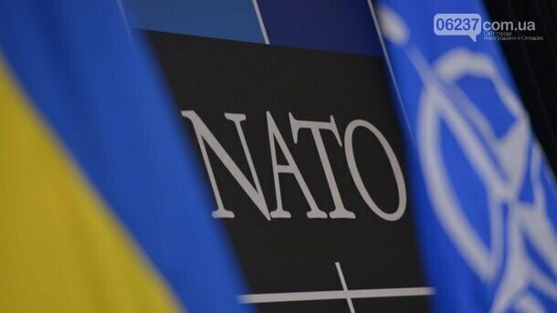 Украина готова к НАТО на 60%: генерал оценил шансы на вступление в Альянс, фото-1