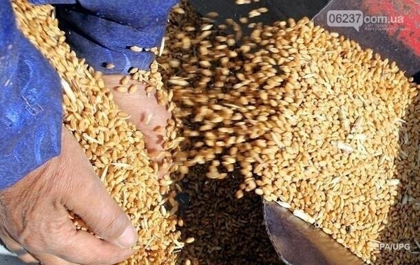 Украина нацелилась на рекодный экспорт зерна, фото-1