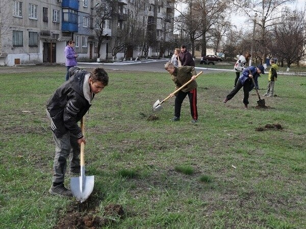В Горняке детей, которые уничтожили молодые деревья, заставили посадить новые, фото-1