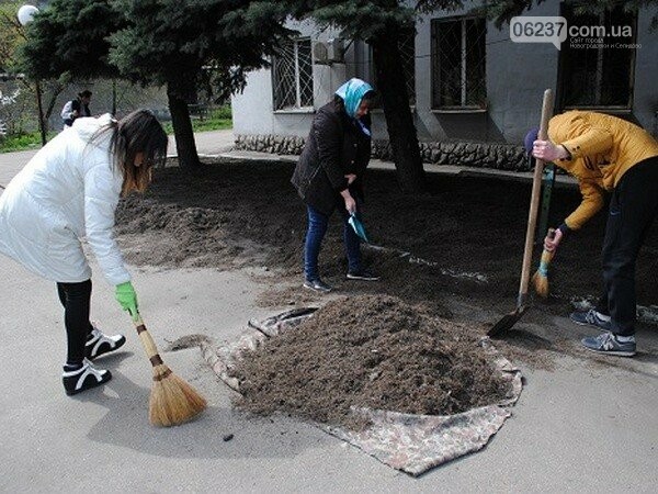 Жители Новогродовки объединились, чтобы сделать город чище, фото-1