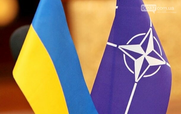 НАТО увеличит взносы в фонды для поддержки Украины, фото-1