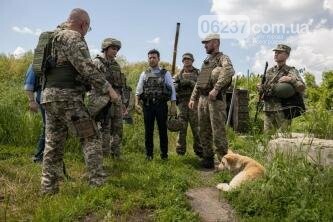 Глава Генштаба ВСУ опозорился на передовой в Донбассе, фото-1