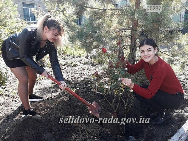 В Селидово возле школы посадили аллею роз, фото-1