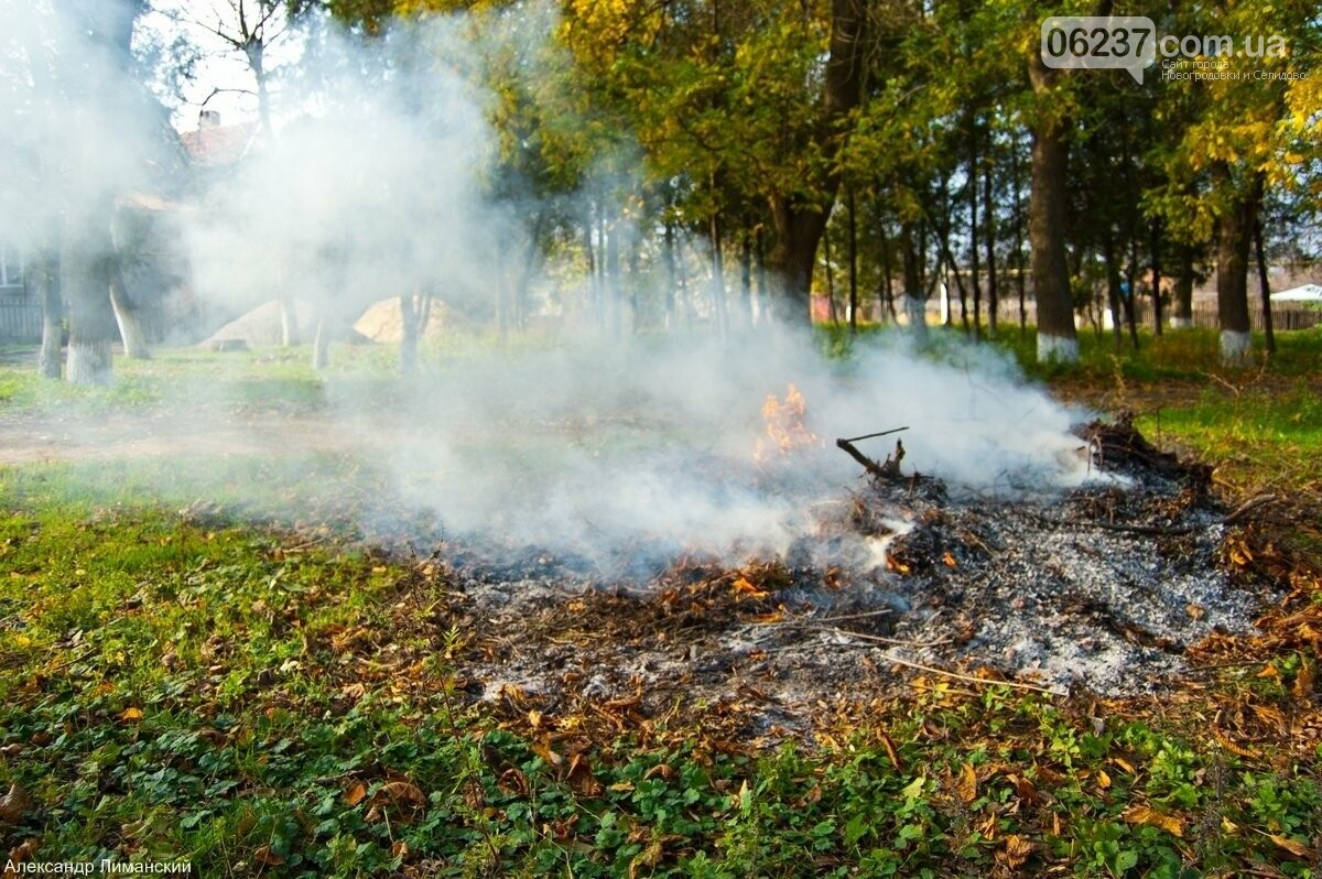 Как в Селидово борются со сжиганием листьев, фото-1