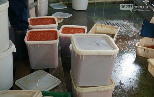 В Казахстане изъяли более двух тонн красной икры, фото-1