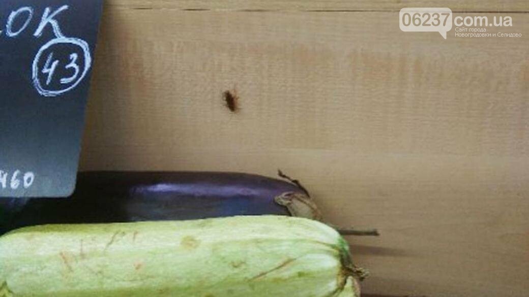 «Супермаркет. Прусаки по овощам бегают»: жители Макеевки шокированы антисанитарией, фото-1