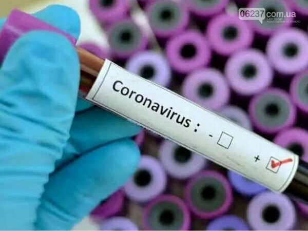 В больницу Селидово доставят оборудование для борьбы с эпидемией коронавируса, фото-1