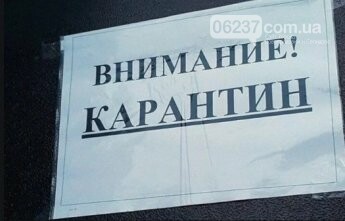 Курьезы. Собака соблюдает требования карантина у мясного магазина, фото-1