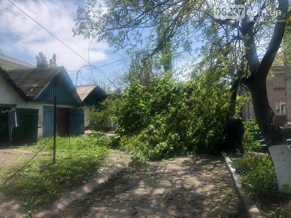 Срочно! В Новогродовке упало дерево. Света теперь не будет., фото-2
