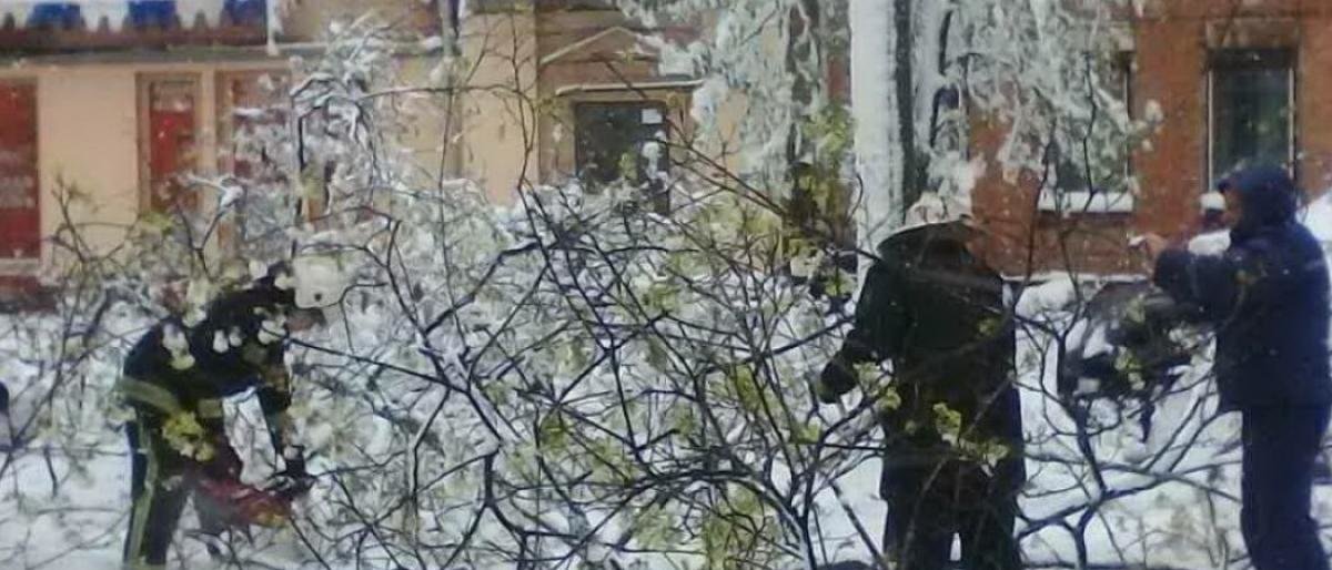 Сніговий апокаліпсис: в Україні через негоду залишаються знеструмленими 199 населених пунктів