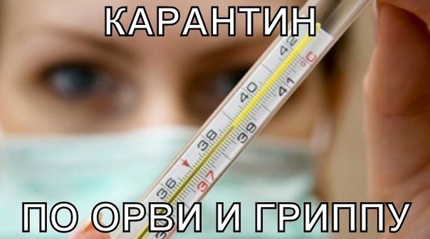 Внимание карантин!