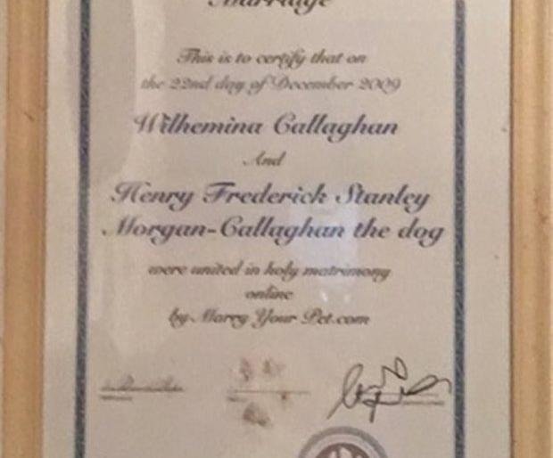 Британка не нашла “принца” и вышла замуж за своего пса