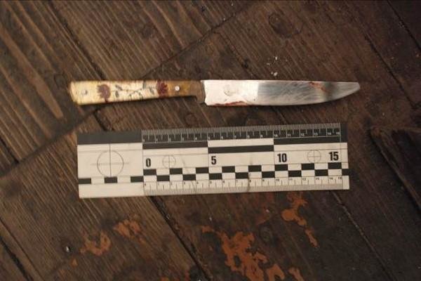 В Горняке семейная пара из Кураховки жестоко убила пенсионера