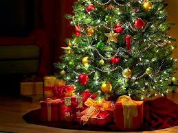 Як обрати ялинку на Новий рік