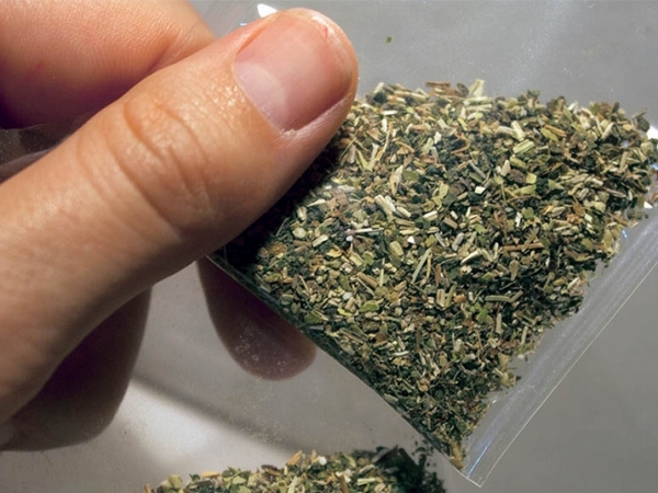 Житель Селидово «лечился» марихуаной