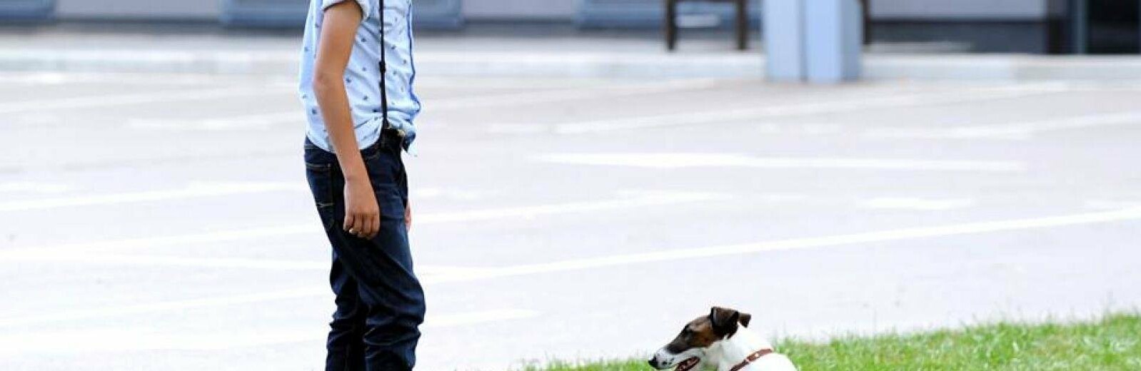 Вышел первый тизер украинского фантастического фильма "Фокстер и Макс"