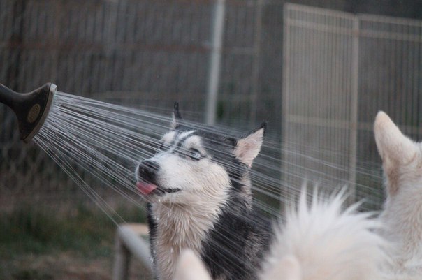 Самая распространенная ошибка в душе