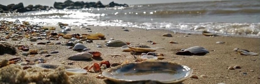 Пора планировать отдых: "Прибой" приглашает в новый сезон. Фото/Видео