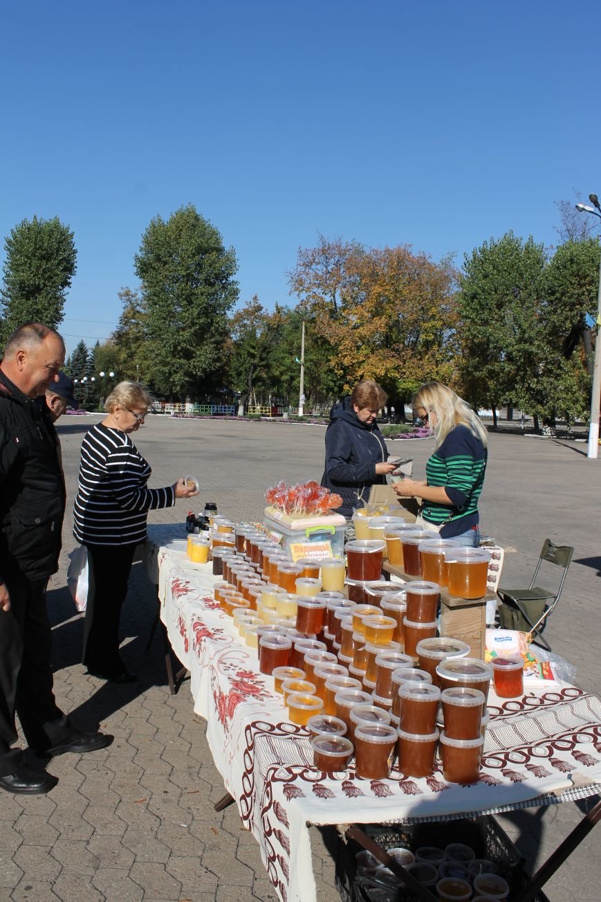 В Новогродовке открылась ярмарка саженцев и меда, фото-7