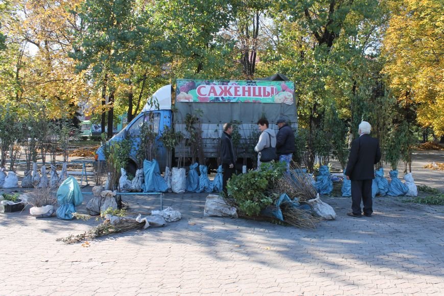 В Новогродовке открылась ярмарка саженцев и меда, фото-2
